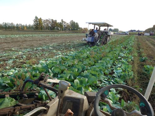 B-160　古品　油まみれの万力　引き取り歓迎 理事長のことば | 美木多幼稚園